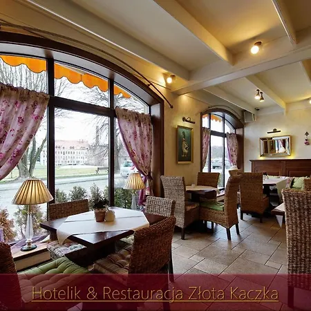 & Restauracja Zlota Kaczka *